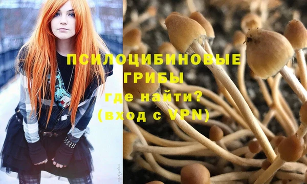 ешки Армянск