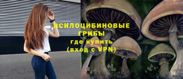 ешки Армянск