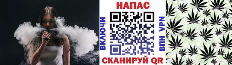 как найти   Каневская  Конопля MAZAR 